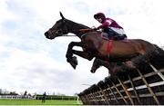 11 February 2024; Beacon Edge, with Jack Kennedy up, during the William Hill Boyne Hurdle at Navan Racecourse in Meath. Photo by Seb Daly/Sportsfile