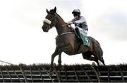 11 February 2024; Butty O Brien, with Eoin Walsh up, during the Apple's Jade Mares Novice Hurdle at Navan Racecourse in Meath. Photo by Seb Daly/Sportsfile