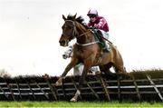 11 February 2024; Zeeband, with Jack Gilligan up, during the Gibney's Handicap Hurdle at Navan Racecourse in Meath. Photo by Seb Daly/Sportsfile