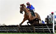 11 February 2024; Full Noise, with Danny Mullins up, during the Gibney's Handicap Hurdle at Navan Racecourse in Meath. Photo by Seb Daly/Sportsfile