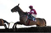 11 February 2024; Favori De Champdou, with Sam Ewing up, during the William Hill Ten Up Novice Steeplechase at Navan Racecourse in Meath. Photo by Seb Daly/Sportsfile