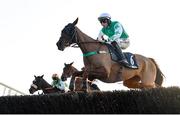 11 February 2024; Rolly Bowley Boy, with Eoin Walsh up, during the William Hill Handicap Steeplechase at Navan Racecourse in Meath. Photo by Seb Daly/Sportsfile