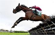 11 February 2024; Zeeband, with Jack Gilligan up, during the Gibney's Handicap Hurdle at Navan Racecourse in Meath. Photo by Seb Daly/Sportsfile