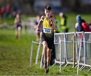 11 February 2024; Sam O Neill of Dunleer AC, Louth, on his way to winning the Boys U17 3000m during the 123.ie National Intermediate, Masters & Juvenile B Cross Country Championships at DKiT Campus in Dundalk, Louth. Photo by Stephen Marken/Sportsfile