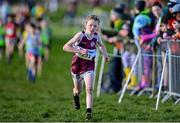 11 February 2024; Daniel Cummins of Mullingar Harriers AC, Westmeath, on his way to winning the Boys U11 1000m during the 123.ie National Intermediate, Masters & Juvenile B Cross Country Championships at DKiT Campus in Dundalk, Louth. Photo by Stephen Marken/Sportsfile