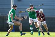 11 February 2024; Shane McGovern of Westmeath in action against Limerick players from left, Barry Murphy, and Michéal Houlihan during the Allianz Hurling League Division 1 Group B match between Westmeath and Limerick at TEG Cusack Park in Mullingar, Westmeath. Photo by Michael P Ryan/Sportsfile