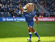 17 February 2024; Leo the Lion before the United Rugby Championship match between Leinster and Benetton at RDS Arena in Dublin. Photo by Harry Murphy/Sportsfile