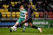16 February 2024; Rory Gaffney of Shamrock Rovers and Mayowa Animasahun of Dundalk during the SSE Airtricity Men's Premier Division match between Shamrock Rovers and Dundalk at Tallaght Stadium in Dublin. Photo by Ben McShane/Sportsfile