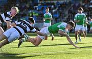 20 February 2024; JP Breslin of Gonzaga College dives over to score his side's second try despite the efforts of Tom Quinn, 15, and Gordon Barr of Belvedere College during the Bank of Ireland Leinster Schools Senior Cup quarter-final match between Gonzaga College and Belvedere College at Energia Park in Dublin. Photo by Tyler Miller/Sportsfile