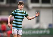 9 February 2024; Brodie McNeill of St Gerard's School during Bank of Ireland Leinster Schools Junior Cup Round 1 match between CBC Monkstown and St Gerard's School at Energia Park in Dublin. Photo by Piaras Ó Mídheach/Sportsfile