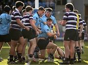 21 February 2024; Ethan Black of St Michael's College, centre, celebrates with teammates after scoring his side's second try during the Bank of Ireland Leinster Schools Senior Cup quarter-final match between Terenure College and St Michael's College at Energia Park in Dublin. Photo by Harry Murphy/Sportsfile