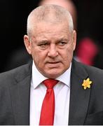 24 February 2024; Wales head coach Warren Gatland before the Guinness Six Nations Rugby Championship match between Ireland and Wales at Aviva Stadium in Dublin. Photo by Ramsey Cardy/Sportsfile