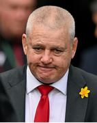 24 February 2024; Wales head coach Warren Gatland before the Guinness Six Nations Rugby Championship match between Ireland and Wales at Aviva Stadium in Dublin. Photo by Ramsey Cardy/Sportsfile