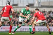 24 February 2024; Peter O’Mahony of Ireland in action against Adam Beard, left, and Alex Mann of Wales during the Guinness Six Nations Rugby Championship match between Ireland and Wales at Aviva Stadium in Dublin. Photo by Sam Barnes/Sportsfile
