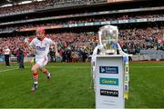 8 September 2013; Anthony Nash, Cork, makes his way onto the pitch past the Liam MacCarthy Cup. GAA Hurling All-Ireland Senior Championship Final, Cork v Clare, Croke Park, Dublin. Picture credit: Matt Browne / SPORTSFILE