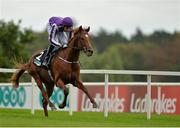 7 September 2013; Australia, with Joseph O'Brien up, on their way to winning the ICON Breeders' Cup Juvenile Turf Trial Stakes. Leopardstown Racecourse, Leopardstown, Co. Dublin. Picture credit: Barry Cregg / SPORTSFILE