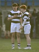 29 February 2024; Dejected Belvedere College players, Charlie Dowse, left, and Mícheál Cooper after the Bank of Ireland Leinster Schools Junior Cup quarter-final match between St Michael's College and Belvedere College at Energia Park in Dublin. Photo by Daire Brennan/Sportsfile
