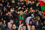 1 March 2024; Cork City supporters during the SSE Airtricity Men's First Division match between Cork City and UCD at Turner's Cross in Cork. Photo by Michael P Ryan/Sportsfile