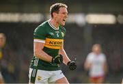 3 March 2024; Tadhg Morley of Kerry celebrates during the Allianz Football League Division 1 match between Kerry and Tyrone at Fitzgerald Stadium in Killarney, Kerry. Photo by Brendan Moran/Sportsfile