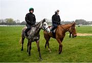 11 March 2024; Danny Mullins on Il Etait Temps, left, and Paul Townend on State Man on the gallops ahead of the Cheltenham Racing Festival at Prestbury Park in Cheltenham, England. Photo by David Fitzgerald/Sportsfile
