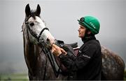 11 March 2024; Danny Mullins with Il Etait Temps on the gallops ahead of the Cheltenham Racing Festival at Prestbury Park in Cheltenham, England. Photo by David Fitzgerald/Sportsfile