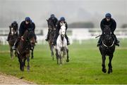 11 March 2024; Danny Gilligan with Delta Work, right, on the gallops ahead of the Cheltenham Racing Festival at Prestbury Park in Cheltenham, England. Photo by David Fitzgerald/Sportsfile