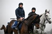 11 March 2024; Jack Kennedy with Firefox, left, and Caitriona Bolger with Coko Beach on the gallops ahead of the Cheltenham Racing Festival at Prestbury Park in Cheltenham, England. Photo by David Fitzgerald/Sportsfile