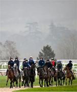 11 March 2024; Horses from Willie Mullins' string on the gallops ahead of the Cheltenham Racing Festival at Prestbury Park in Cheltenham, England. Photo by David Fitzgerald/Sportsfile