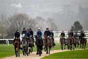 11 March 2024; Horses from Willie Mullins' string on the gallops ahead of the Cheltenham Racing Festival at Prestbury Park in Cheltenham, England. Photo by David Fitzgerald/Sportsfile