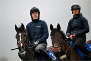 11 March 2024; My Mate Mozzie with Keith Donoghue and Inothewayurthinkin with Cara Monaghan on the gallops ahead of the Cheltenham Racing Festival at Prestbury Park in Cheltenham, England. Photo by David Fitzgerald/Sportsfile