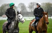 11 March 2024; Jockeys Danny Mullins, with Il Etait Temps, and Paul Townend, with State Man, on the gallops ahead of the Cheltenham Racing Festival at Prestbury Park in Cheltenham, England. Photo by Harry Murphy/Sportsfile