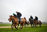 11 March 2024; Jockey Paul Townend on State Man, front, and the Willie Mullins string on the gallops ahead of the Cheltenham Racing Festival at Prestbury Park in Cheltenham, England. Photo by Harry Murphy/Sportsfile