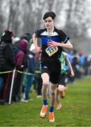 9 March 2024; Caloan McGarry of Our Lady & St Pats Knock, Belfast, competes in the minor boys 2500m during the 123.ie All Ireland Schools Cross Country Championships at Tymon Park in Tallaght, Dublin. Photo by Sam Barnes/Sportsfile