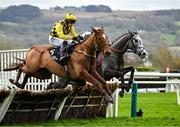 12 March 2024; State Man, with Paul Townend up, left, leads Irish Point, with Jack Kennedy up, who finished second, as they jump the last, on their way to winning the Unibet Champion Hurdle Challenge Trophy on day one of the Cheltenham Racing Festival at Prestbury Park in Cheltenham, England. Photo by Harry Murphy/Sportsfile