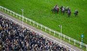 12 March 2024; A general view of the runners and riders during the Close Brothers Mares' Hurdle on day one of the Cheltenham Racing Festival at Prestbury Park in Cheltenham, England. Photo by David Fitzgerald/Sportsfile
