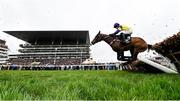 12 March 2024; Nemean Lion, with Richard Patrick up, jump the last duirng the Ultima Handicap Chase on day one of the Cheltenham Racing Festival at Prestbury Park in Cheltenham, England. Photo by Harry Murphy/Sportsfile