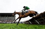 12 March 2024; Zarak The Brave, with Daryl Jacob up, jump the last during the Unibet Champion Hurdle Challenge Trophy on day one of the Cheltenham Racing Festival at Prestbury Park in Cheltenham, England. Photo by Harry Murphy/Sportsfile