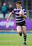 12 March 2024; Niall Fallon of Terenure College during the Bank of Ireland Schools Junior Cup semi-final match between Blackrock College and Terenure College at Energia Park in Dublin. Photo by Sam Barnes/Sportsfile