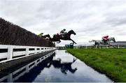 14 March 2024; Runners and riders jump the water fence during the Turners Novices' Chase on day three of the Cheltenham Racing Festival at Prestbury Park in Cheltenham, England. Photo by David Fitzgerald/Sportsfile