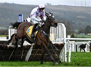 14 March 2024; Golden Ace, with Lorcan Williams up, jumps the last, first time round, on their way to winning the Ryanair Mares' Novices' Hurdle on day three of the Cheltenham Racing Festival at Prestbury Park in Cheltenham, England. Photo by Harry Murphy/Sportsfile
