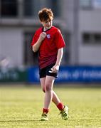 14 March 2024; Christian Shortall of CUS during the Bank of Ireland Father Godfrey Cup final match between CUS and St Gerard's School at Energia Park in Dublin. Photo by Ben McShane/Sportsfile