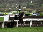 15 March 2024; Majborough, with Mark Walsh up, on their way to winning the JCB Triumph Hurdle on day four of the Cheltenham Racing Festival at Prestbury Park in Cheltenham, England. Photo by David Fitzgerald/Sportsfile