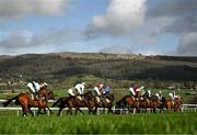 15 March 2024; Runners and riders during the JCB Triumph Hurdle on day four of the Cheltenham Racing Festival at Prestbury Park in Cheltenham, England. Photo by Harry Murphy/Sportsfile