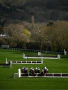 15 March 2024; Runners and riders jump a fence during the JCB Triumph Hurdle on day four of the Cheltenham Racing Festival at Prestbury Park in Cheltenham, England. Photo by Harry Murphy/Sportsfile