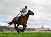 15 March 2024; Jockey Paul Townend celebrates aboard Absurde after winning the BetMGM County Handicap Hurdle on day four of the Cheltenham Racing Festival at Prestbury Park in Cheltenham, England. Photo by Harry Murphy/Sportsfile