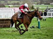 15 March 2024; Stellar Story, with Sam Ewing up, on their way to winning the Albert Bartlett Novices' Hurdle on day four of the Cheltenham Racing Festival at Prestbury Park in Cheltenham, England. Photo by David Fitzgerald/Sportsfile