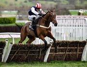 15 March 2024; The Jukebox Man, with Kielan Woods up, on their way to finishings second in the Albert Bartlett Novices' Hurdle on day four of the Cheltenham Racing Festival at Prestbury Park in Cheltenham, England. Photo by David Fitzgerald/Sportsfile