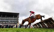 15 March 2024; Stellar Story, with Sam Ewing up, jump the last on their way to winning the Albert Bartlett Novices' Hurdle on day four of the Cheltenham Racing Festival at Prestbury Park in Cheltenham, England. Photo by David Fitzgerald/Sportsfile