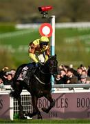 15 March 2024; Galopin Des Champs, with Paul Townend up, on their way to winning the Boodles Cheltenham Gold Cup Chase on day four of the Cheltenham Racing Festival at Prestbury Park in Cheltenham, England. Photo by Harry Murphy/Sportsfile