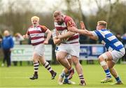 17 March 2024; Colm Gorry of Tullow RFC is tackled by Craig Miller and Stephen Gray of Athy RFC during the Bank of Ireland Provincial Towns Cup Second Round match between Tullow RFC and Athy RFC at Tullow RFC in Carlow. Photo by Matt Browne/Sportsfile